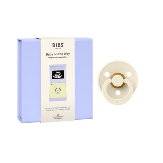 Bibs Baby On The Way Presentask