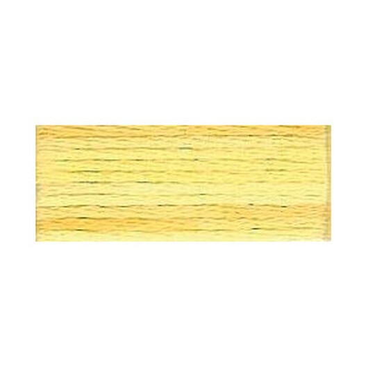 DMC Mouliné Color Variations Broderigarn 4075 Wheat Fields