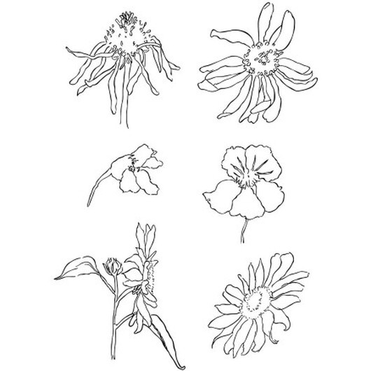 Clear Stamps, sommar, ark 11x15,5 cm, 1 ark