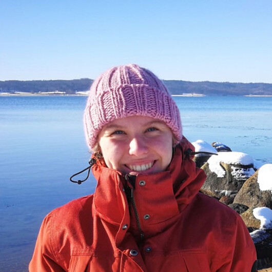 Winter Wondermössan av Rito Krea - Mössa Stickmönster Onesize