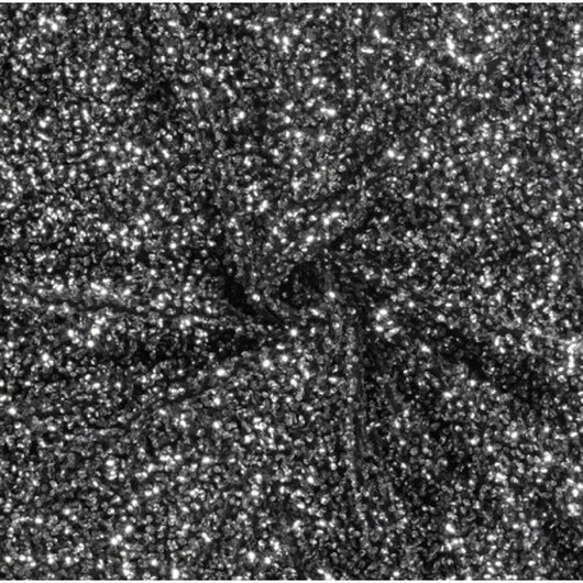 Polyester m/Paljetter Tyg 145cm 70 Silver - 50cm