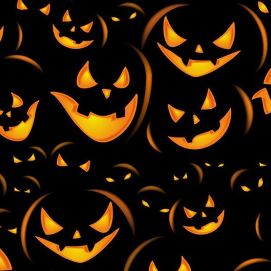 Bomullspoplin Tyg 150cm 269 - Pumpa