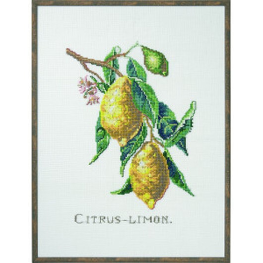 Permin Broderikit Citrus-Lemon 29x39cm