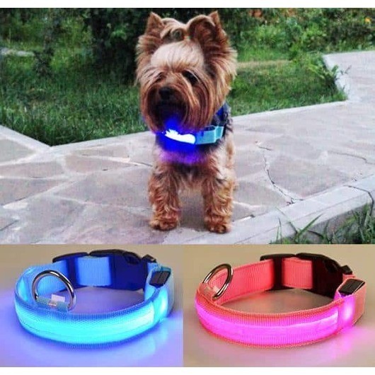 Hundhalsband med LED-lampor - Rosa - Small