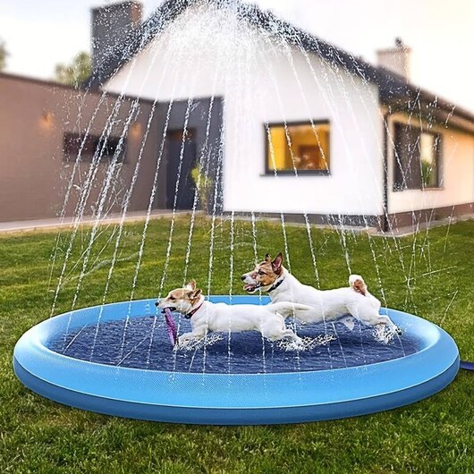 Hundpool med vattensprinkler