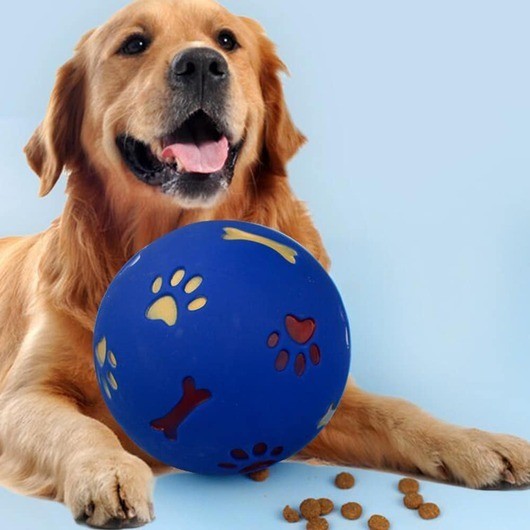 Hundaktivitetsboll - till glädje och nytta för din hund