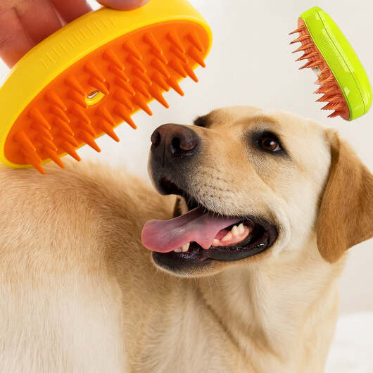 Hund- och Kattborste 3-i-1 med Sprayfunktion & Massage - Grön