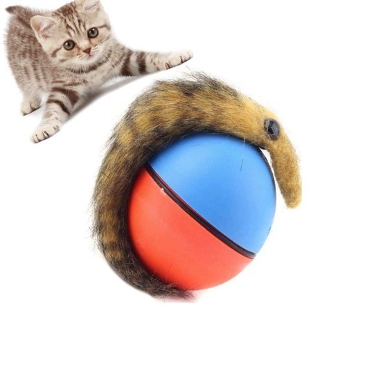 Bäverboll - elektrisk leksak till husdjur
