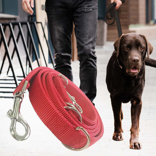 Hundkoppel 2 meter - Rød