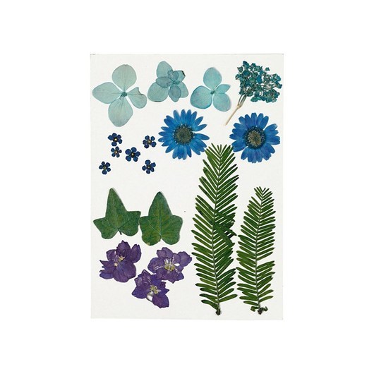 Creativ Company Dried Flowers and Leaves Blue 19 pcs.