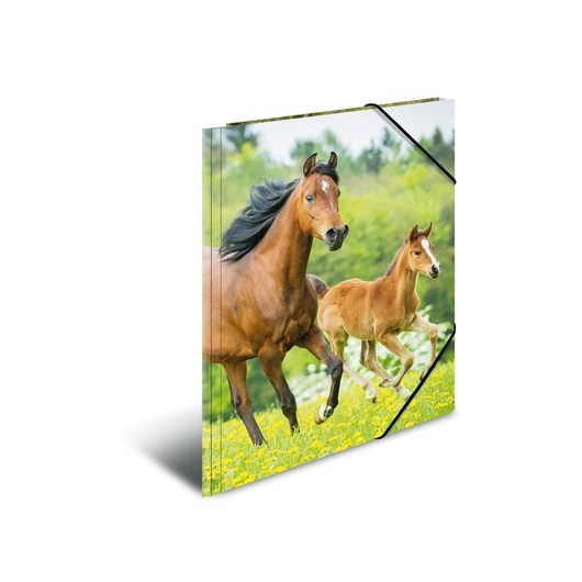 HERMA Elasticated folder A4 PP Horses
