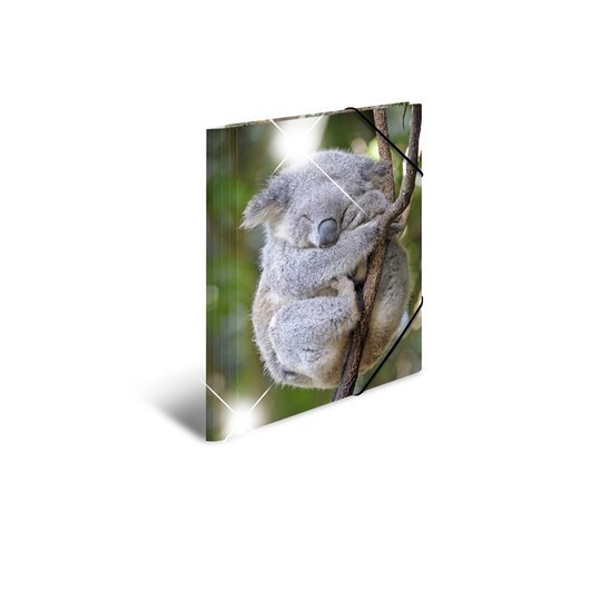 HERMA Sammelmappe A4 Glossy Koala Polypropylen