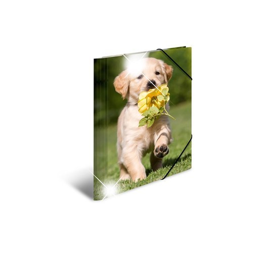 HERMA Elasticated folder glossy animals A4 PP dogs