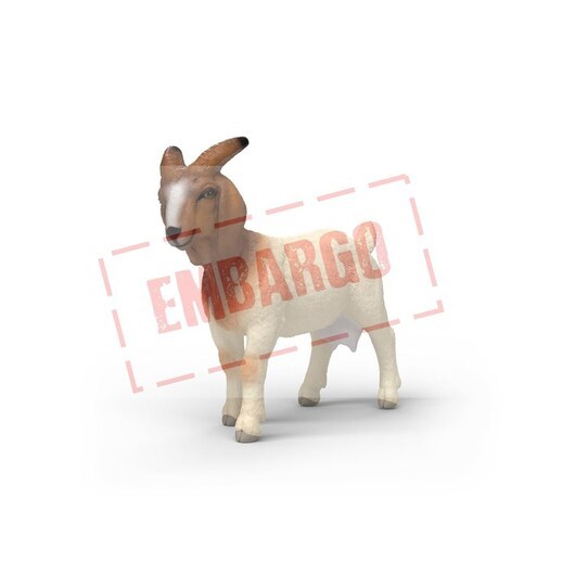 Schleich Boer Goat