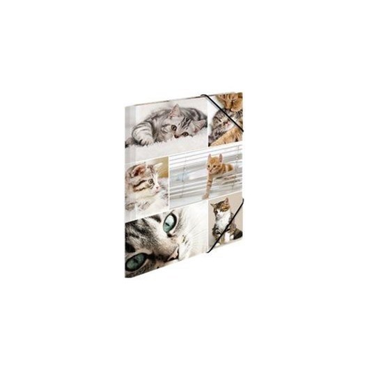 HERMA 3-flap folder - for A4 - cats