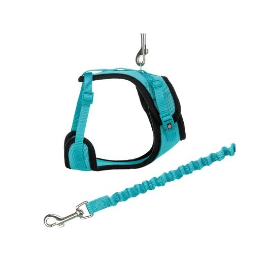 Mesh Y-Harness with Lead 39-60 cm/10 mm assorted colours