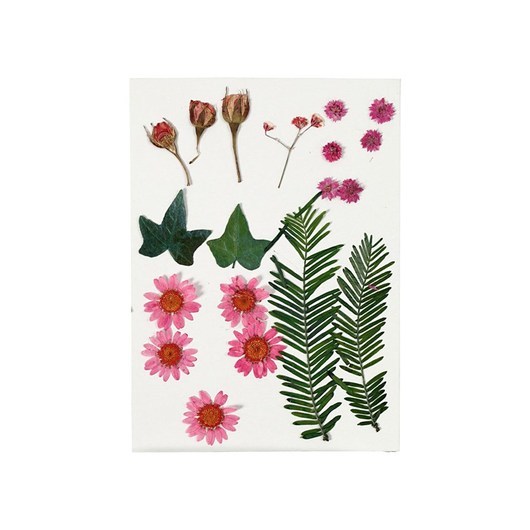 Creativ Company Dried Flowers and Leaves Light Red 19 pcs.