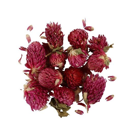 Creativ Company Dried Flowers Red Clover Purple 15gr