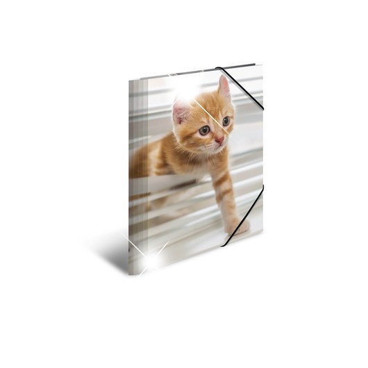 HERMA Elasticated folder glossy animals A4 PP cats