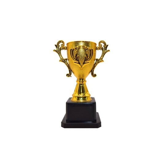 Pocket Money Trophy 14cm