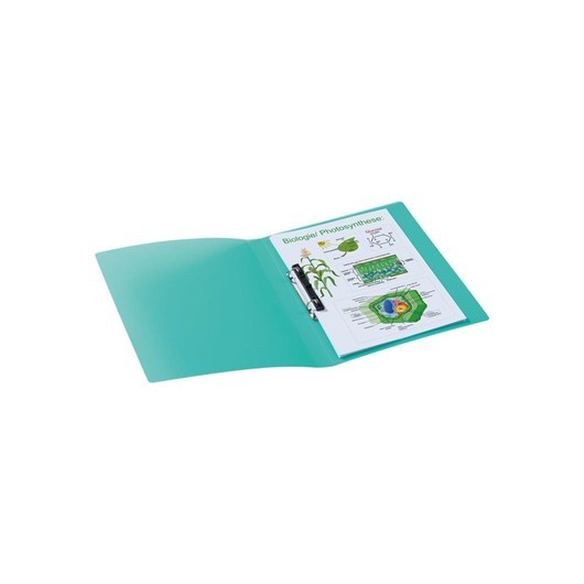 HERMA ring binder - for A4 - translucent turquoise