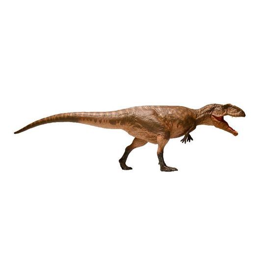 EoFauna - 11 x 38 cm - Giganotosaurus Carolinii