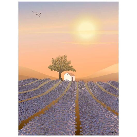 Vissevasse Affisch - 50x70 - Field - Lavender