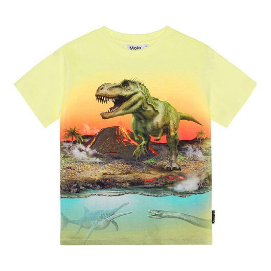 Molo T-shirt - Riley - Vulkan Dino