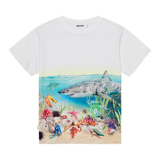 Molo T-shirt - Raveno - Shore Sharks