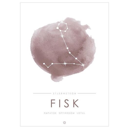 Citatplakat Affisch - A3 - Constellation - Fisk - Rosa